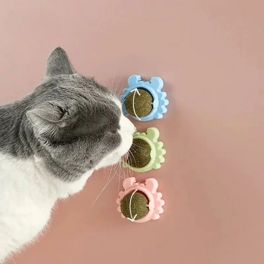 Herbe à chat : Chat jouant avec un jouet sur fond rose pour la stimulation intestinale