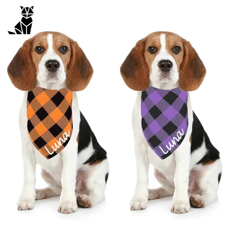 Deux chiens portant des bandanas uniques de la gamme ’Unique Dog Bandana : Confort et style’