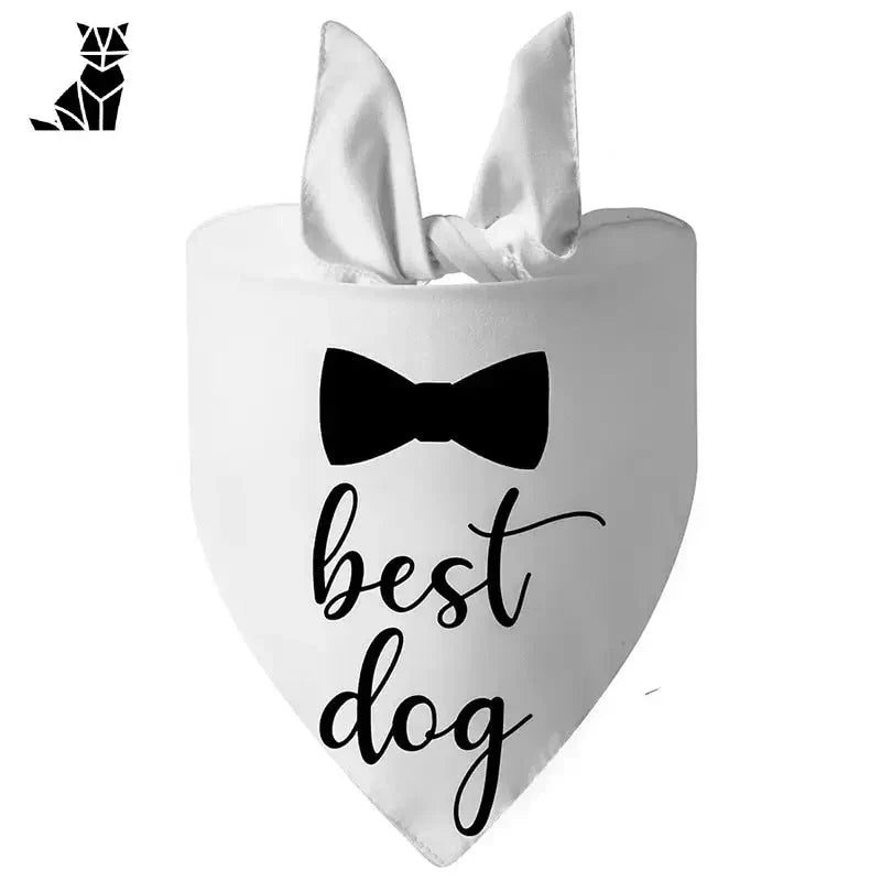 Bandana pour chien en blanc avec nœud papillon noir par PetZeal, l’accessoire parfait pour les animaux de compagnie