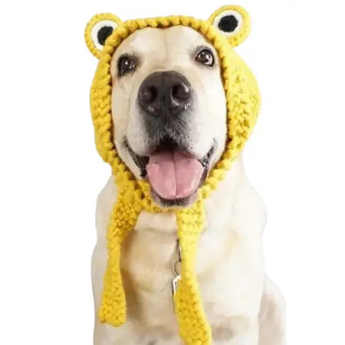 Bonnet pour Chien au Tricot XL Transparent Background