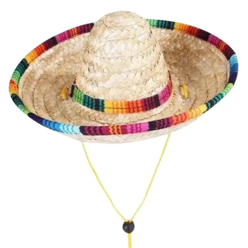 Chapeau pour Chien Paille Multicolore Transparent Background