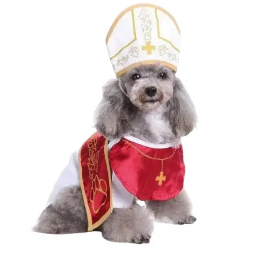Bob pour Chien Pape Transparent Background