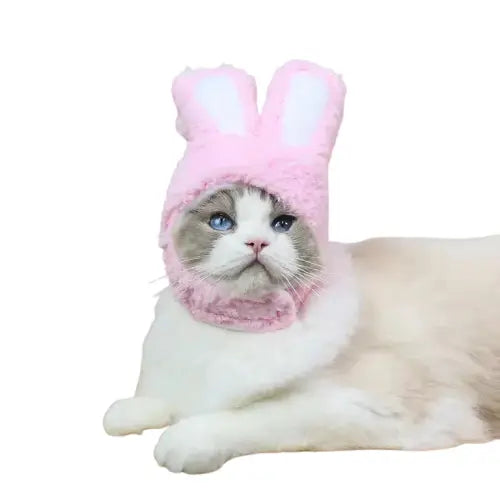 Chat coiffé d’un chapeau de fête avec des oreilles sur la table - Bonnet aux Oreilles Transparent Background