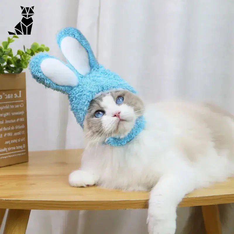 Adorable chat coiffé d’un bonnet de lapin bleu de la collection Soft and Cute Bunny Hat pour plus de douceur