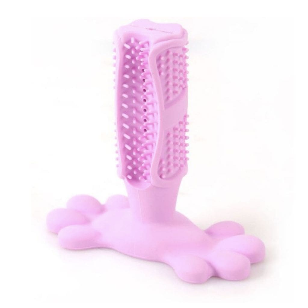 Brosse à dents pour chien