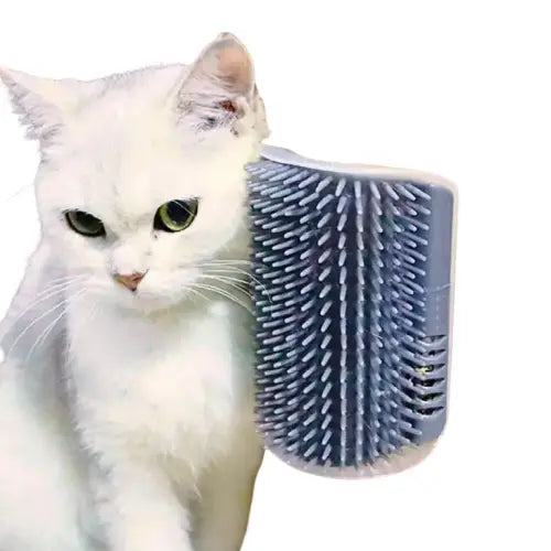 Brosse pour chat | ChaGratte™ Transparent Background