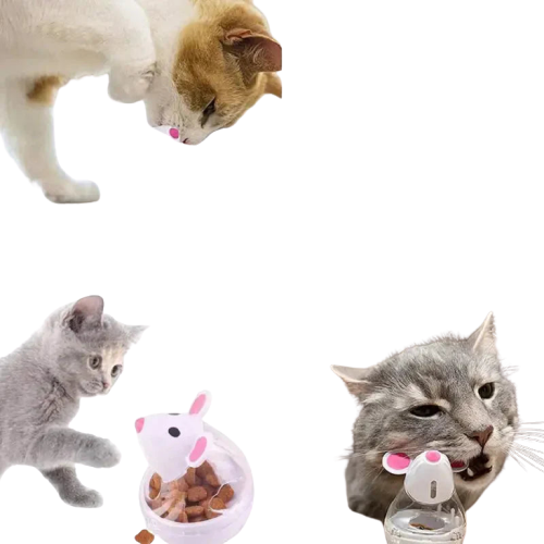 Distributeur de nourriture interactif pour chat : Un chat qui améliore l’heure des repas grâce à la nourriture interactive, avec une cloche pour plus d’amusement Transparent Background