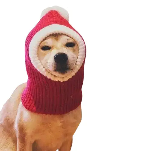 Bob pour Chien Cagoule de Noël Transparent Background