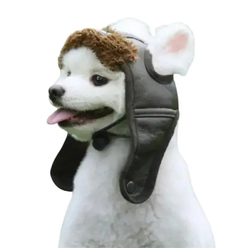 Bonnet pour Chien Aviateur Tour du Monde Transparent Background