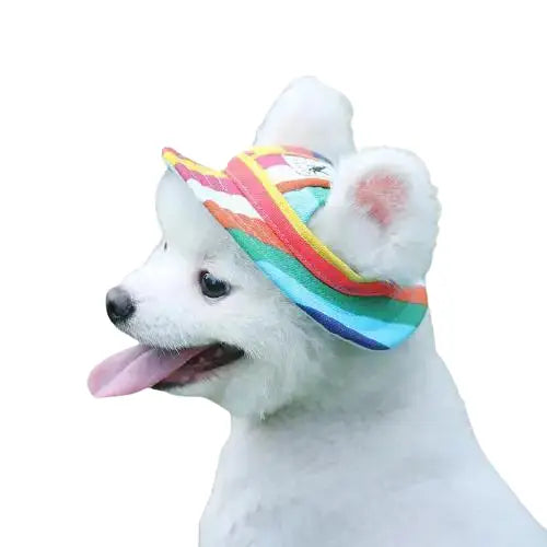 Bob pour Chien Streetwear Transparent Background