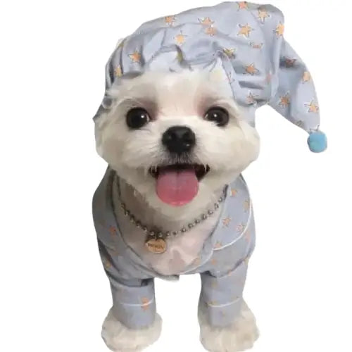 Chapeau pour Chien & Pyjama de Nuit Transparent Background