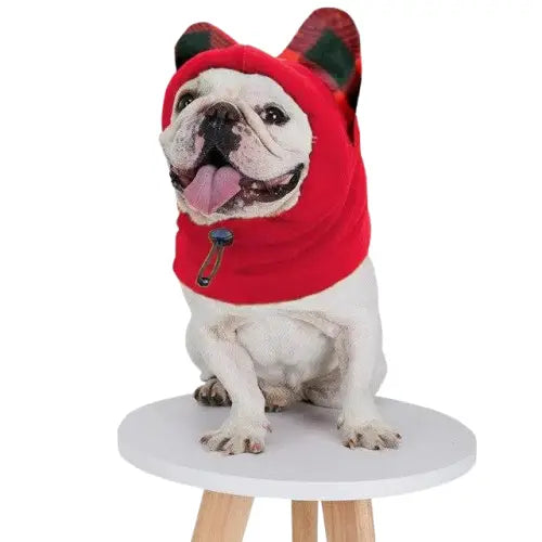Bonnet pour Chien Intégral Anti - bruit Transparent Background