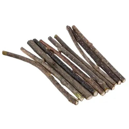 Catstick™ Hygiène Dentaire: Le Brossage De Dents Facilité Pour Votre Chat! 5 Pièces Transparent Background