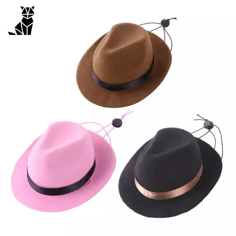 Trois chapeaux de cow-boy amusants pour les animaux : chapeaux noirs, roses et bruns