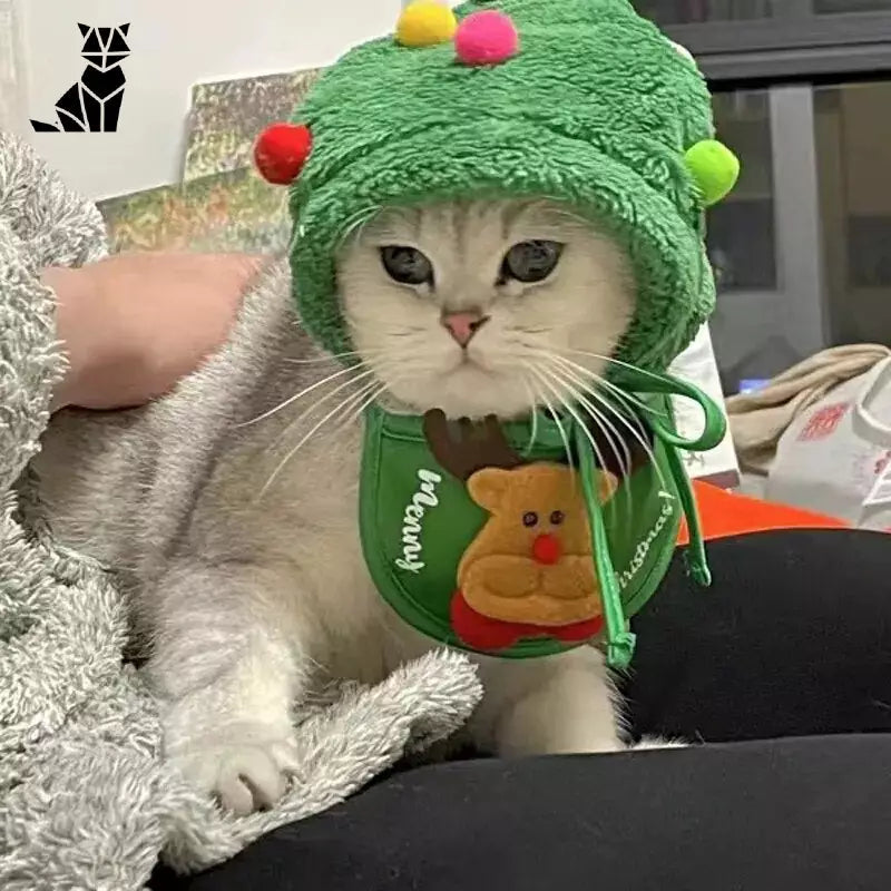 Chapeau de Noël pour Chat | petzeal