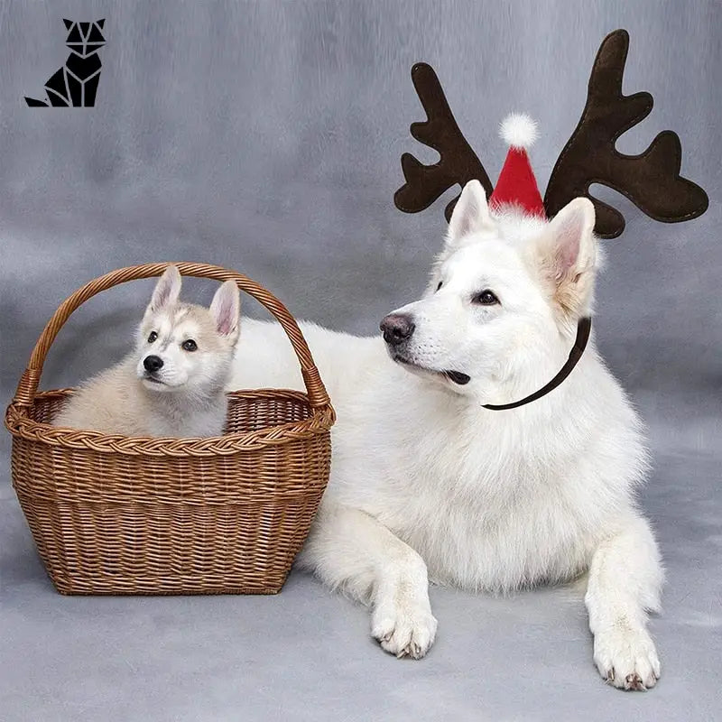 Chapeau pour Chien Renne de Noël