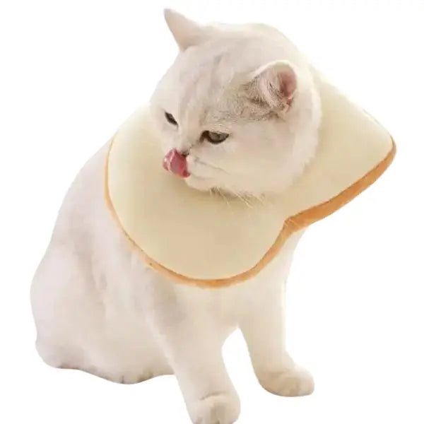 Chapeau pour Chat Cosplay Toast Transparent Background