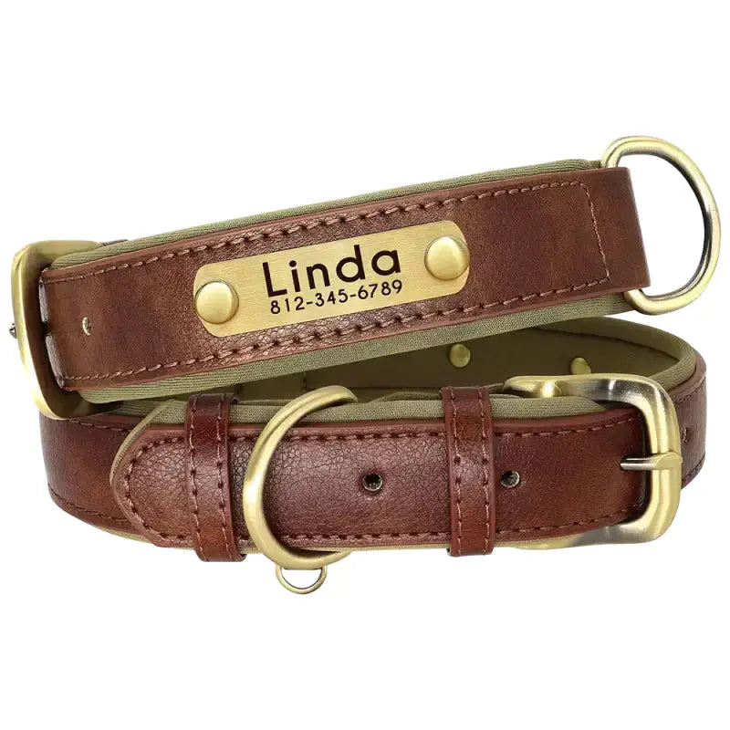 Collier Chien Cuir Personnalisable Résistant