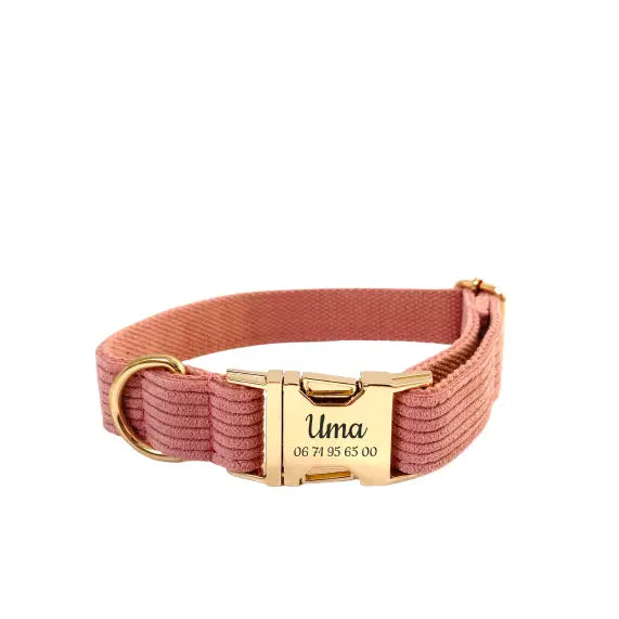Collier Chien Personnalisé Velours Côtelé Corail Transparent Background