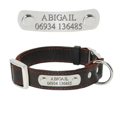 Collier Chien En Cuir Chiots Et Petits Chiens Transparent Background