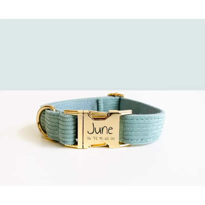 Collier Chien Personnalisé Velours Côtelé Bleu Ciel