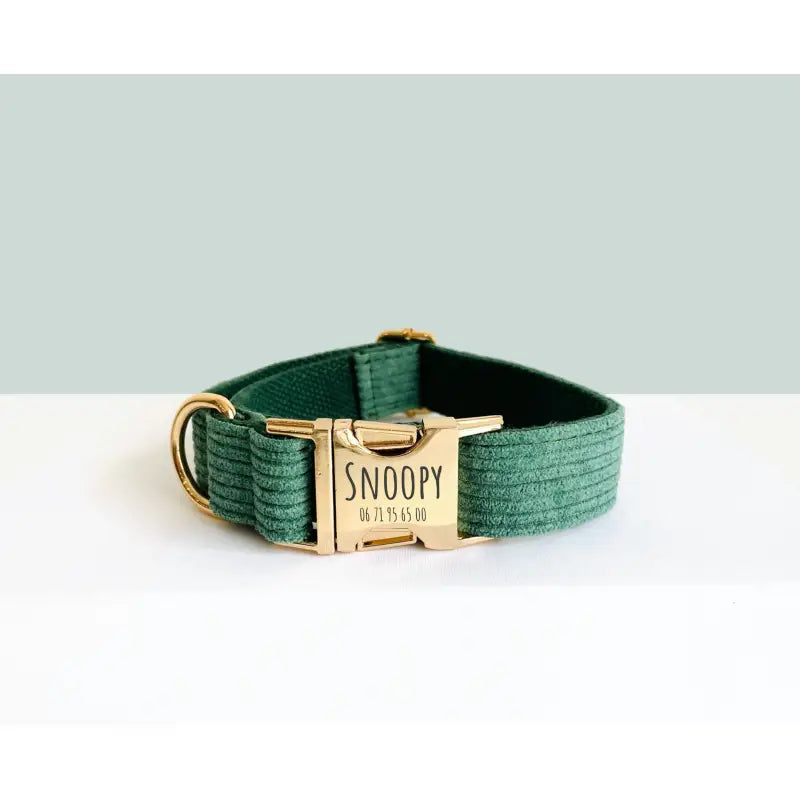 Collier Chien Personnalisé Velours Côtelé Vert