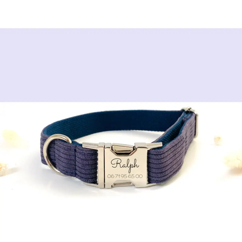 Collier Chien Personnalisé Velours Lavande