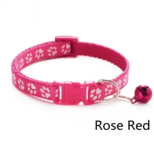 Collier coloré pour chat