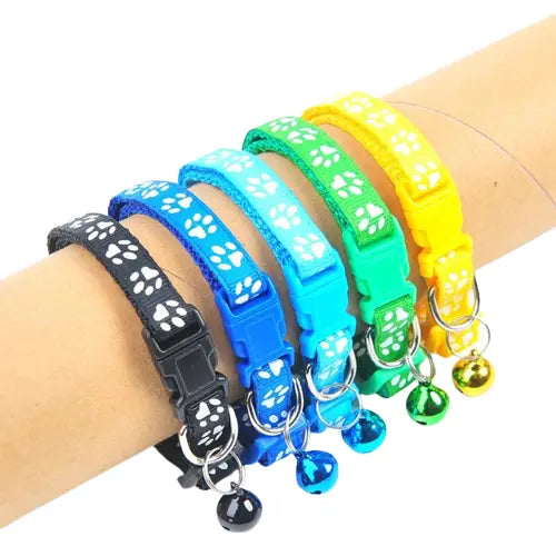 Collier coloré pour chat Transparent Background