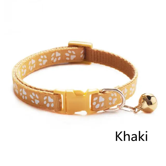 Collier coloré pour chat