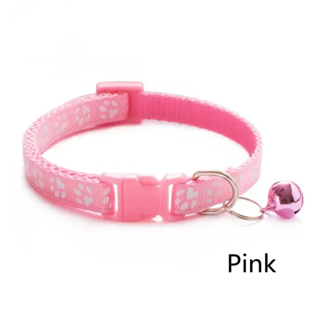 Collier coloré pour chat