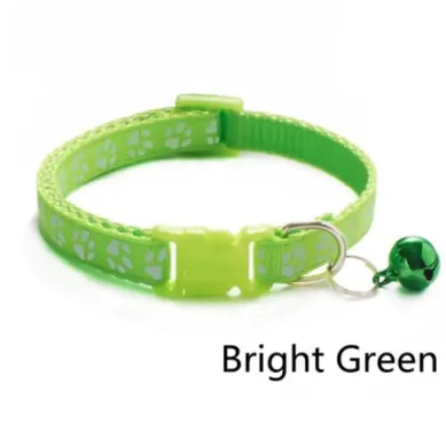 Collier coloré pour chat