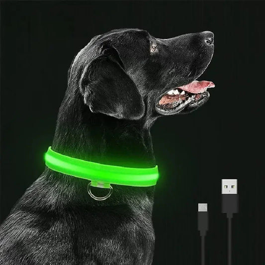 Collier lumineux vert pour chiens sur fond noir