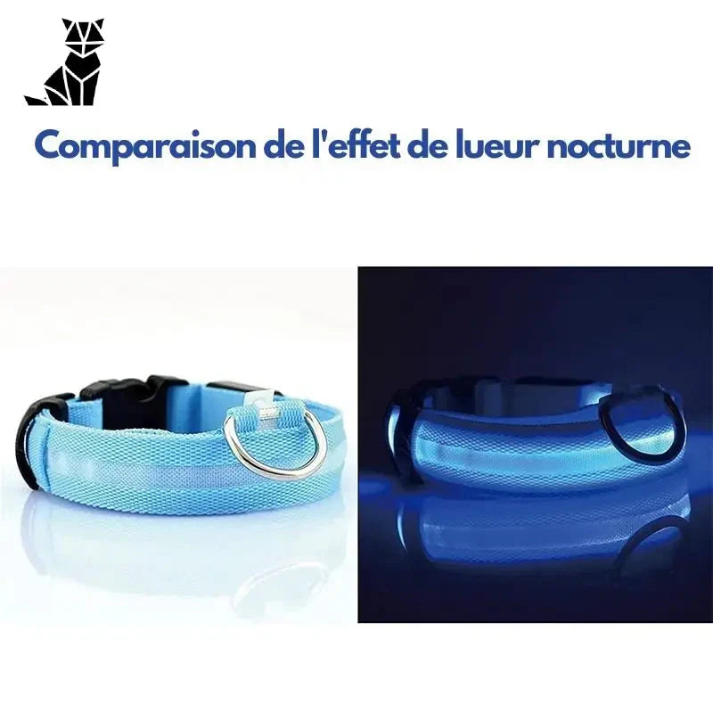 Collier lumineux bleu avec anneau pour compagnon canin - collier lumineux