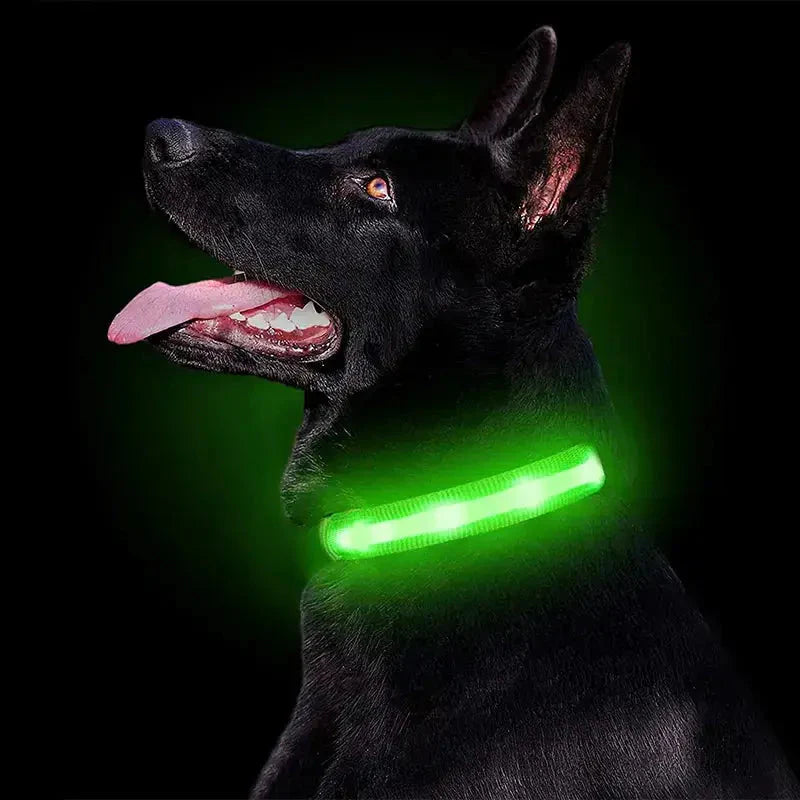 Collier lumineux brillant pour votre compagnon canin - Stylish green glow collar for dogs