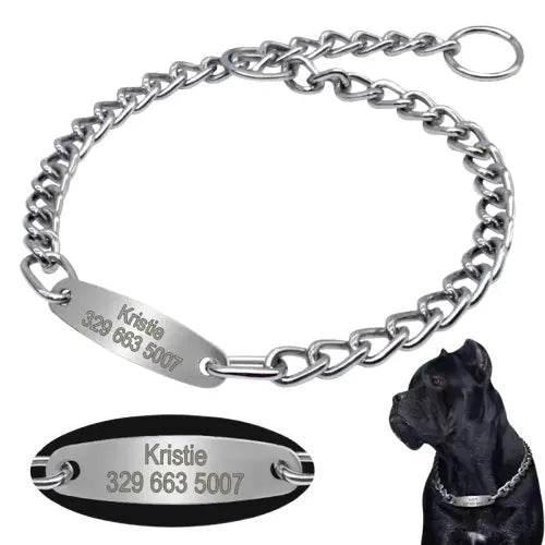 Collier Chaîne Pour Chien Personnalisable Transparent Background
