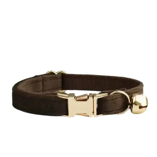 Collier pratique en velours marron et ornements dorés - idéal pour votre toutou bien-aimé Transparent Background