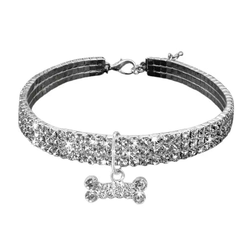 Collier pour Bichon Maltais Transparent Background