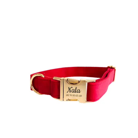 Collier Chien Personnalisé Velours Rouge Transparent Background