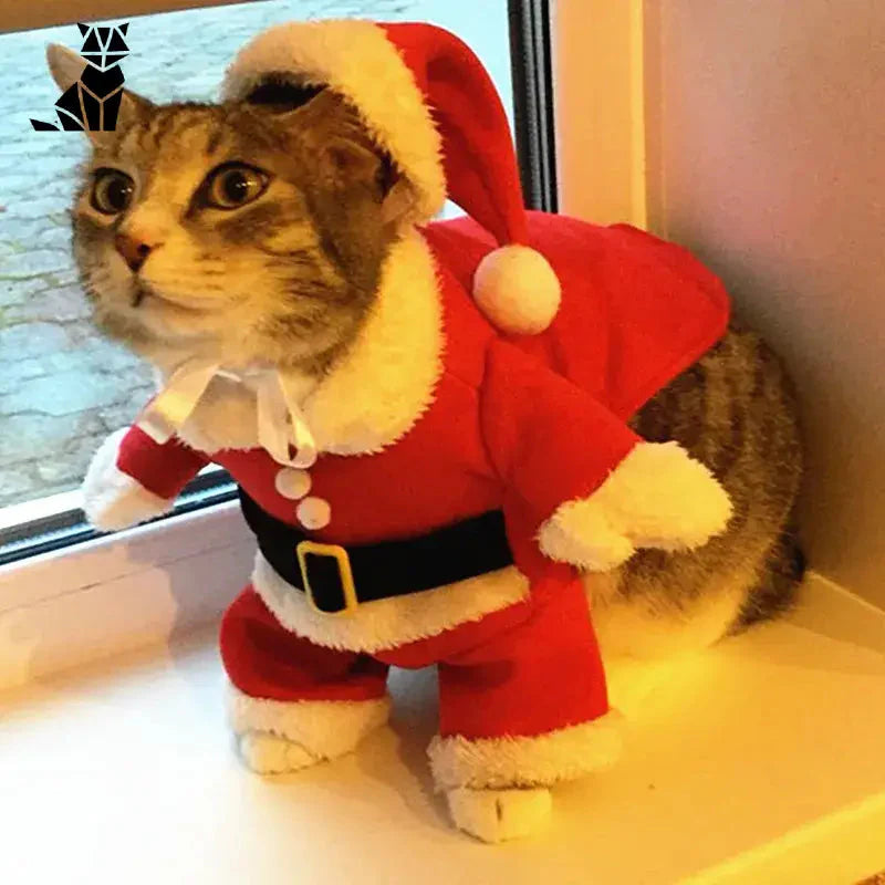 Chat en costume de Père Noël