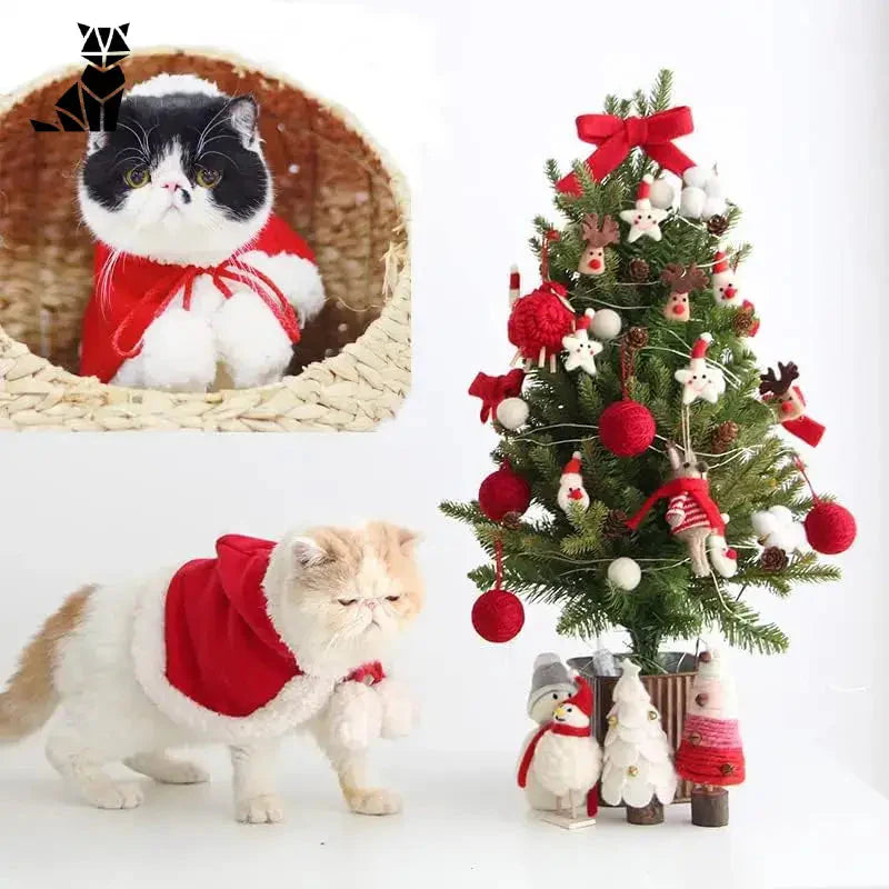 Chat en costume de fête avec écharpe rouge près de l’arbre de Noël | Celebrer the Holidays
