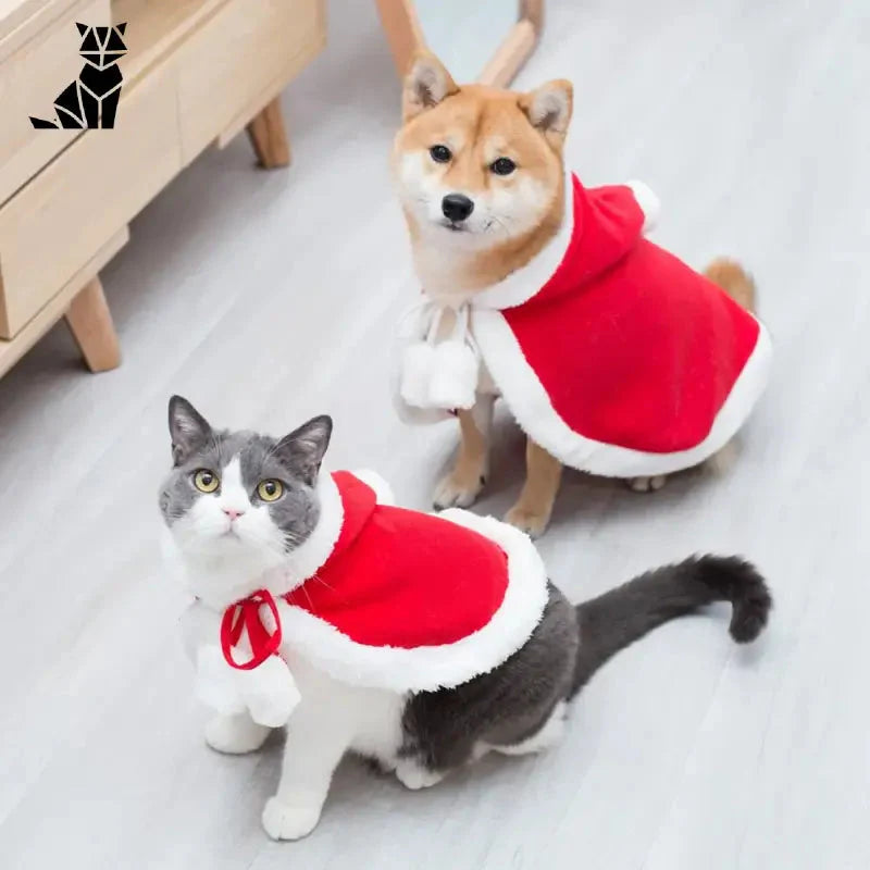 Deux chats en costumes de Noël sur un sol blanc - Festive Cat Costume facile à mettre