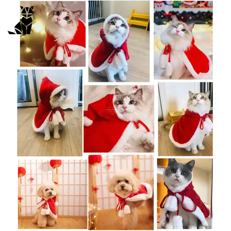 Costume de chat festif - Célébrez avec un chapeau de Père Noël ajustable et facile à porter pour votre chat