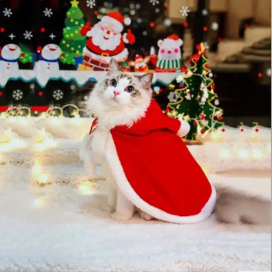 Costume de chat festif - Adorable chat coiffé d’un bonnet de Père Noël célébrant Noël au pied du sapin