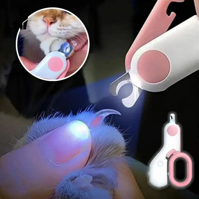 Chat nourri par une personne tenant un coupe-ongles professionnel avec lumière LED pour des griffes saines