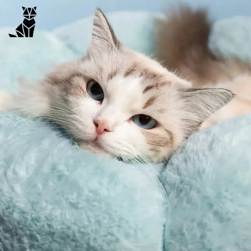 Coussin à fleurs super doux et lavable pour chats représentant un chat couché sur une couverture