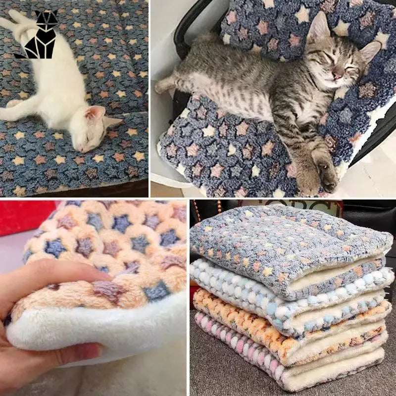 Adorable groupe de chatons se reposant sur la couverture Soothing Blanket for Cats : Tapis en polaire doux et épais