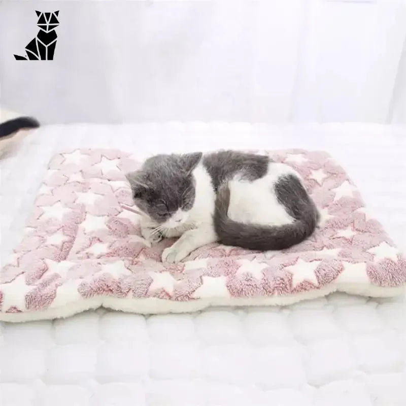 Chat dormant sur une couverture rose - Couverture apaisante pour chats : Tapis en polaire doux et épais