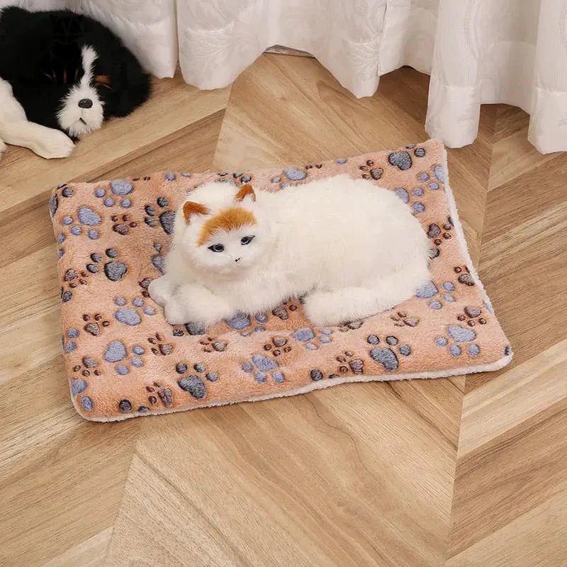 Petit chat blanc sur un lit pour chien rose et bleu bénéficiant d’une couverture en flanelle douce pour un confort optimal