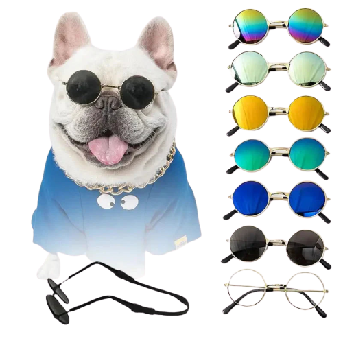 Chien portant des lunettes de soleil et une chemise bleue de Sunglasses for Dogs : SFP Accessories for Animals Transparent Background